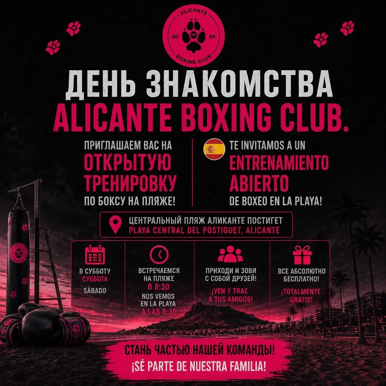 Аликанте боксерский клуб