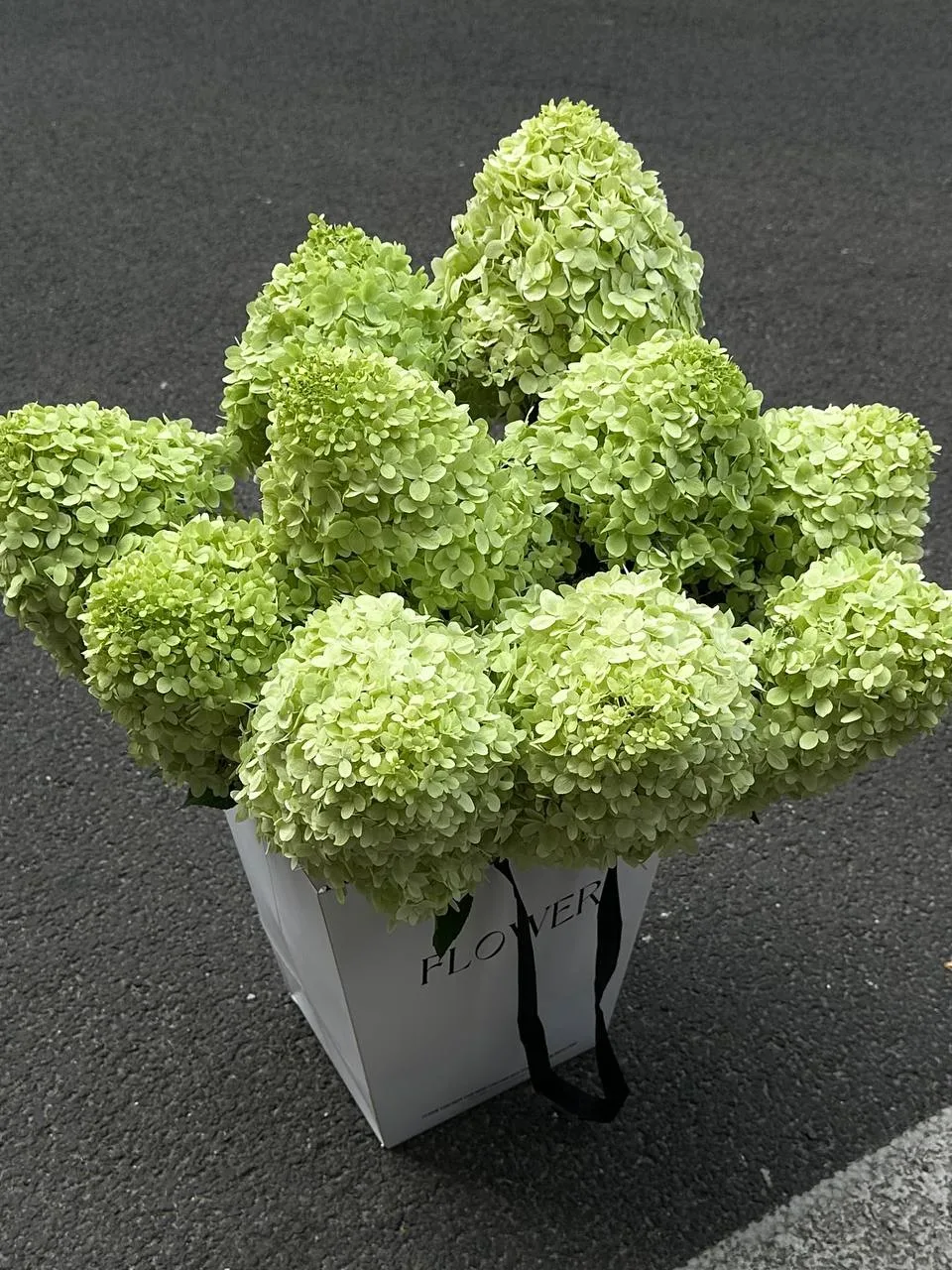 KiraLi Flower