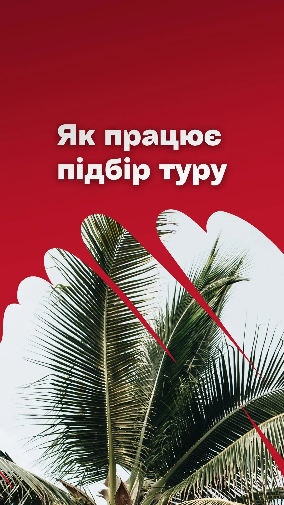 Роман Маєвич