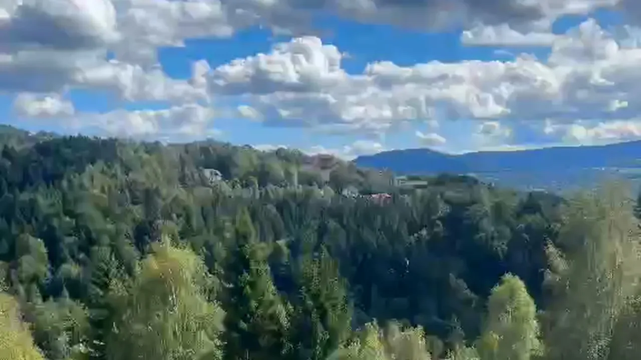 Юридическая группа Д&В