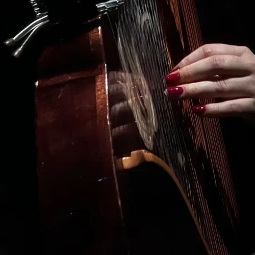 Bandura music, lectures about Ukrainian music and culture, bandura lessons