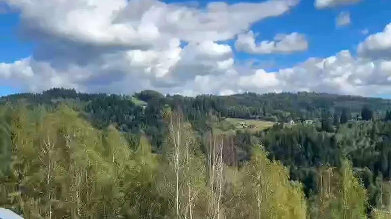 Юридическая группа Д&В