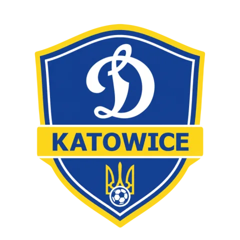 Футбол для детей в Катовице Dynamo Katowice